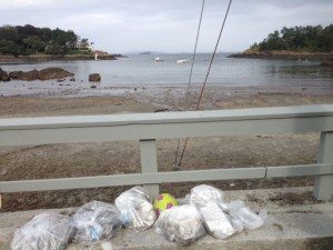 CKYC_BeachCleanUP2013_JPG