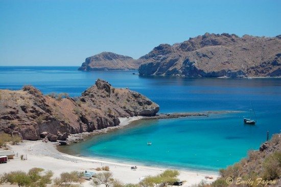 Sea of Cortez La Paz Mexico