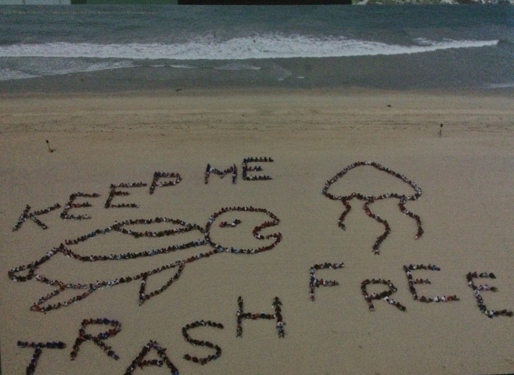 Beach Clean Up in Marblehead_carolkentyacht charters