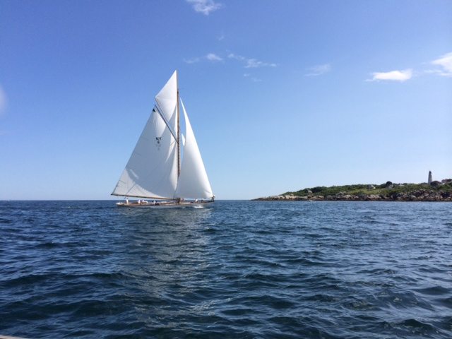 Beach Cleanup Weekend in Marblehead