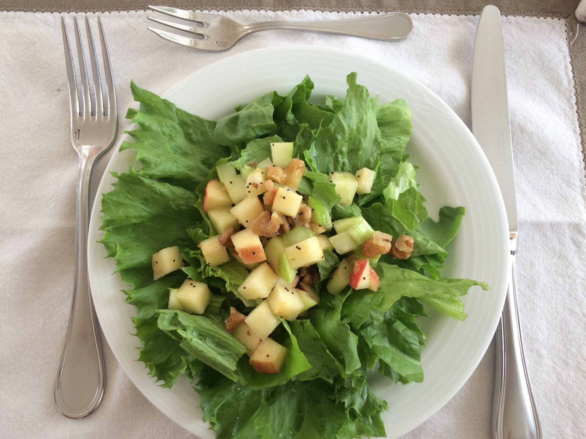 ORION Raw Apple Waldorf Salad