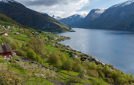 Hillside with red barn along a Norwegian fjord with snow-capped mountains in the distance Norway