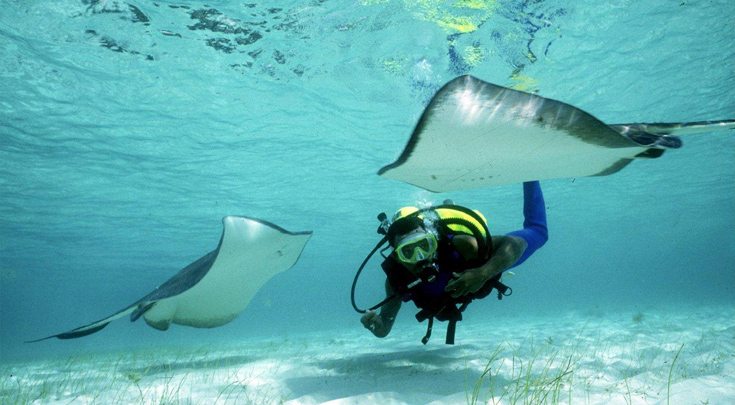 Scuba diving with stingrays in the Bahamas