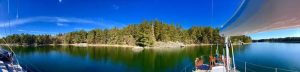 Pine-lined Napoleon Bay Sailing Sweden's Archipelago