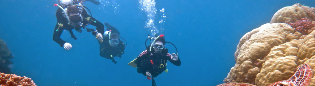 Scuba Divers Off M-Y BELUGA