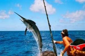 SwordfishFishing_OceanClub