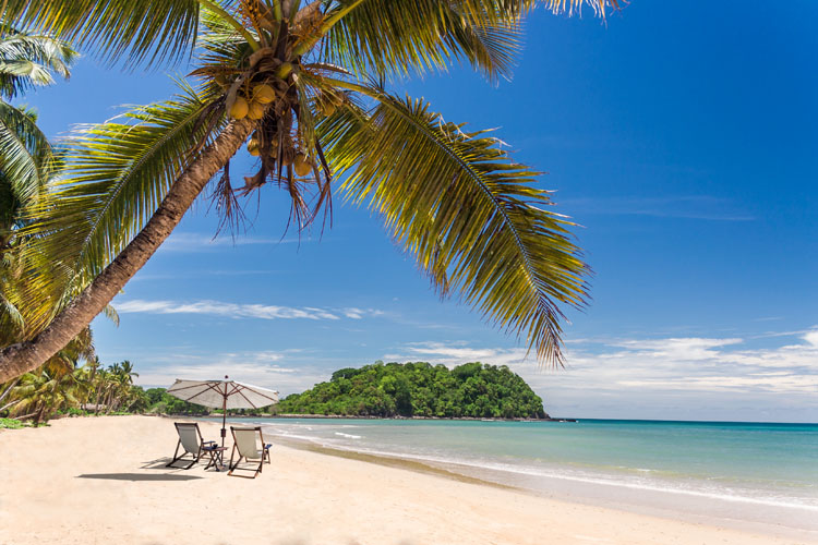 Beautiful tropical sandy beach with palm trees and loungers Virgin Islands