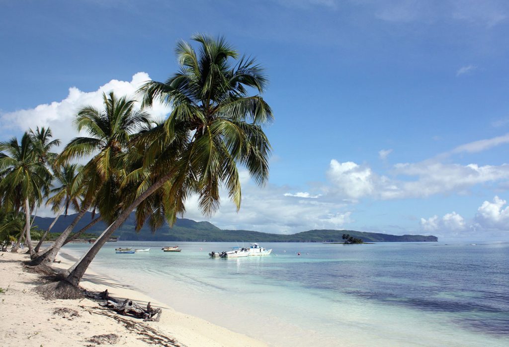 Palm trees and tenders on a Caribbean beach