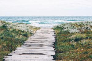 Wooden walk to one of Nantucket's beautiful beaches Nantucket getaways by land and sea