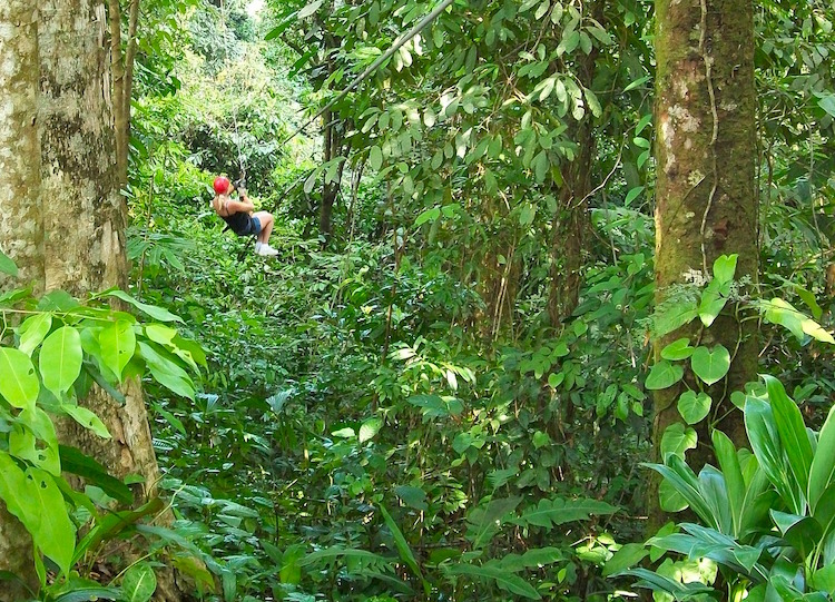 Woman in helmet ziplining in jungle canopy