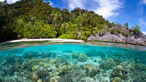 Conflict Islands Papua New Guinea