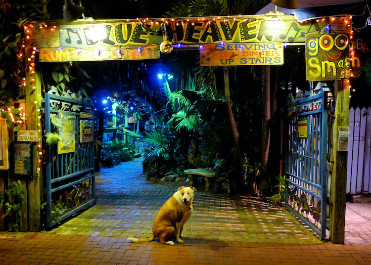 Gate to popular Key West, Florida restaurant Blue Heaven at night