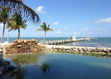 Dock with palm trees at Cheeca Lodge and Spa in Upper Mattecumbe Key, Florida