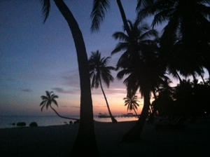 Purple sunset with palm trees at Mooring Village beach Photo©2020SarahNottage
