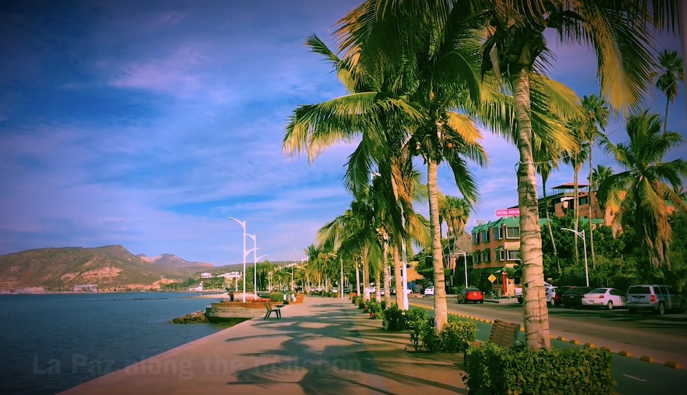 Waterfront with palm tree-lined promenade in La Paz, Mexico
